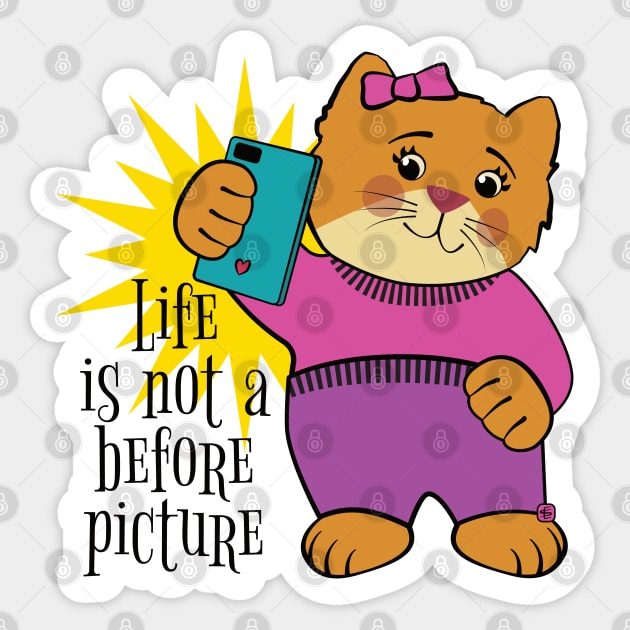 Life is Not a Before Picture Sticker by Sue Cervenka